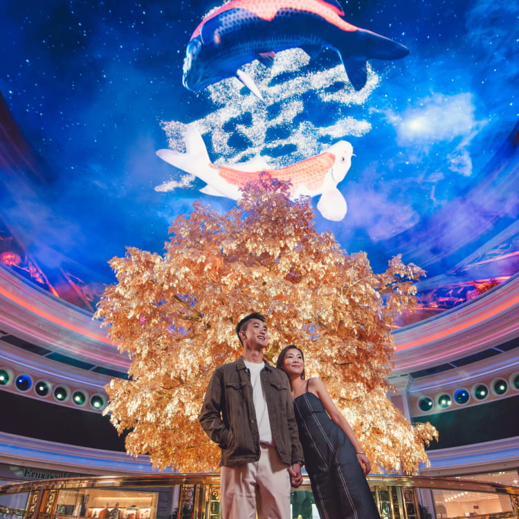 永利时尚大片旅拍体验