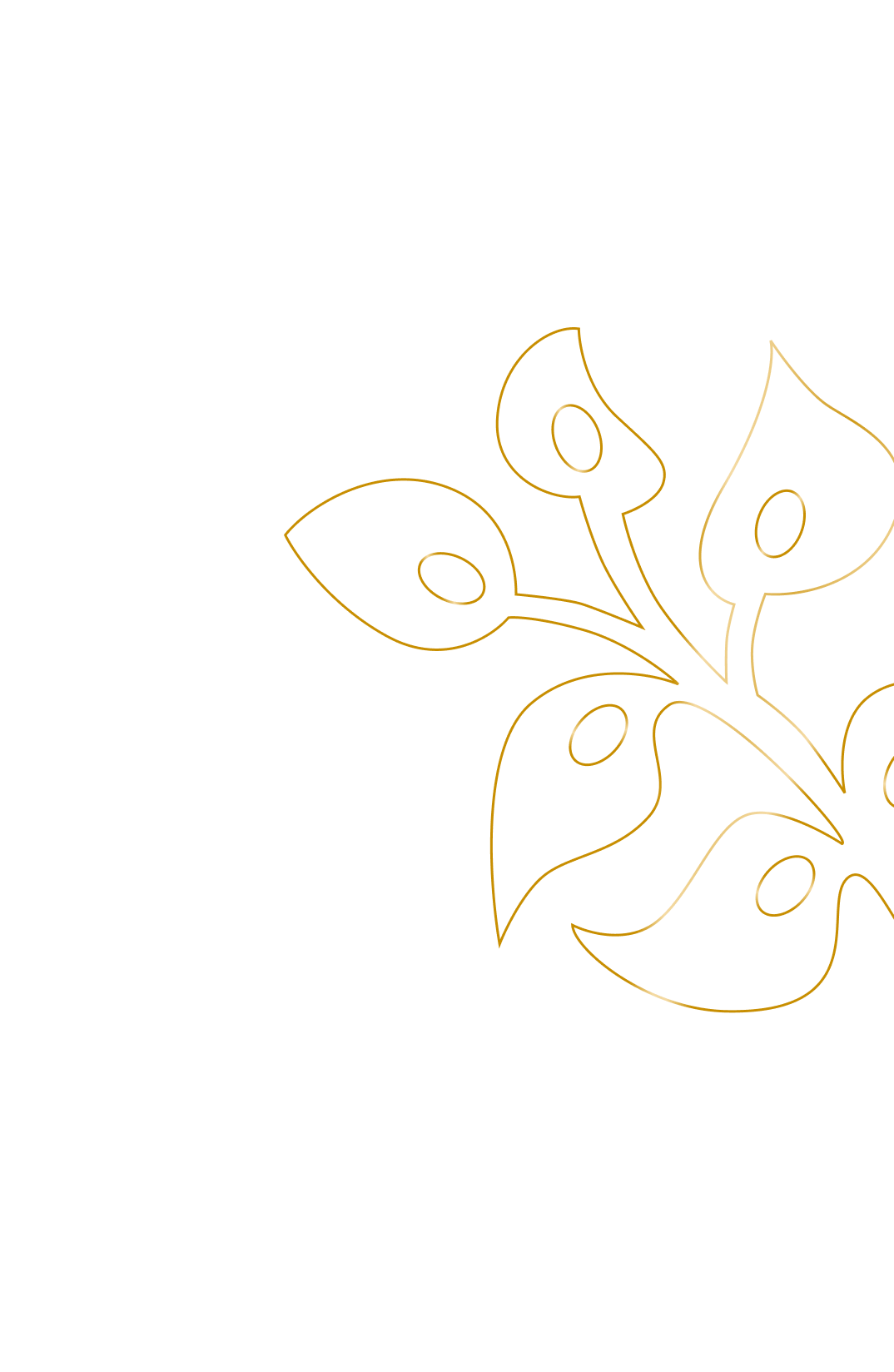 right_decoration_image